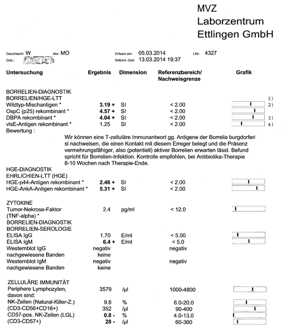 Fallbericht